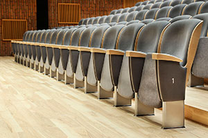 Oscar Teater, Biograf og Konferencestol