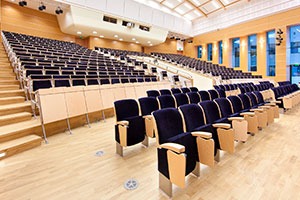 Oscar Teater, Biograf og Konferencestol