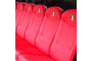 Baco VIP 